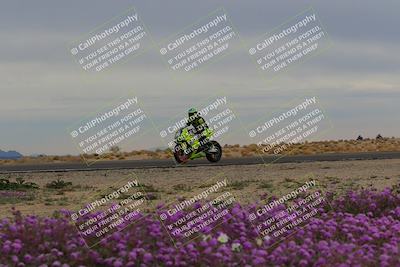 media/Jan-14-2023-SoCal Trackdays (Sat) [[497694156f]]/Turn 14 Exit Bloomig (145pm)/